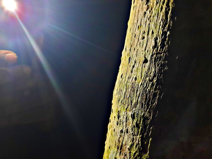 mobile click