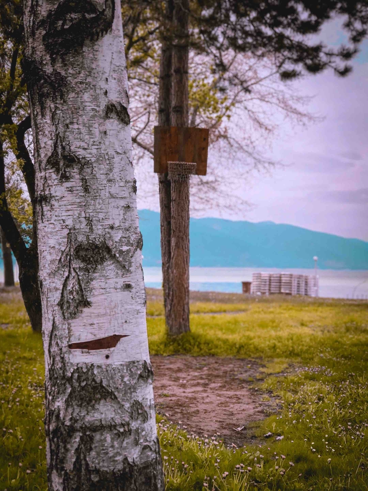 Nature