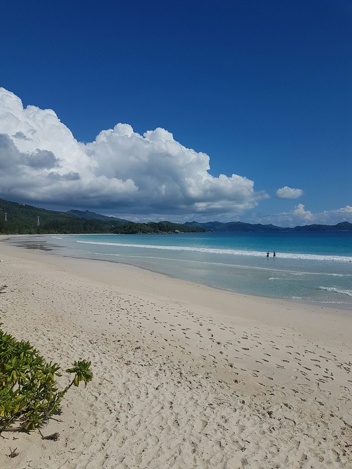 Sandy beach