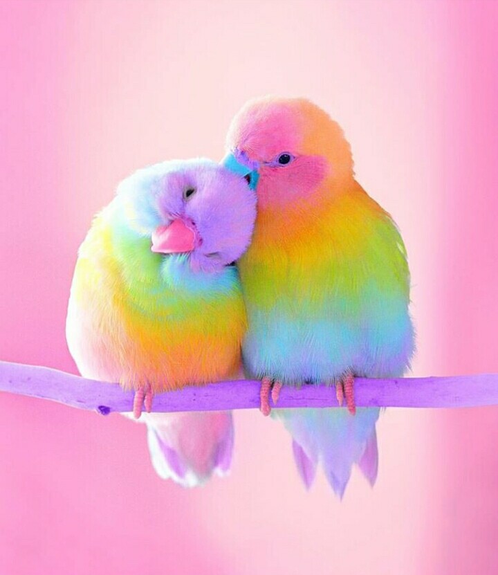 sunil
