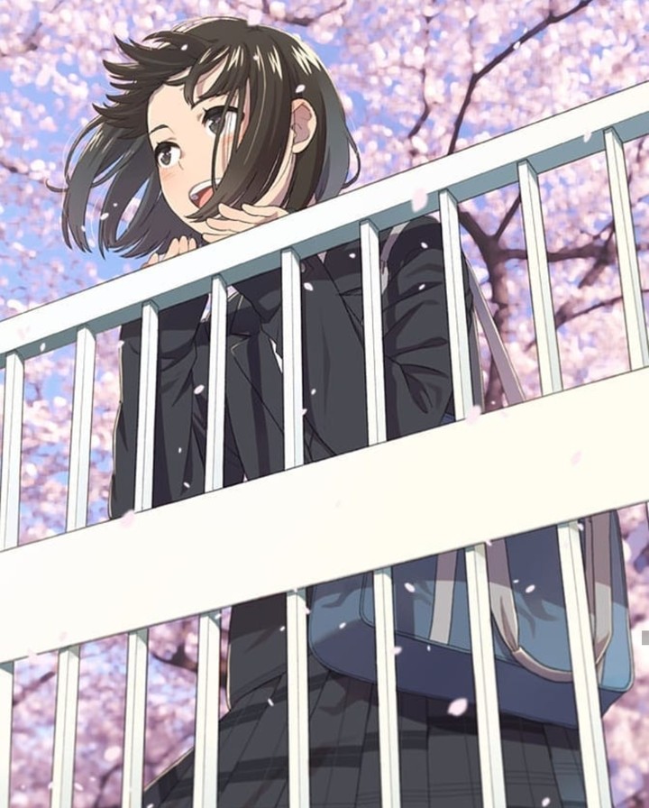 Anime ~