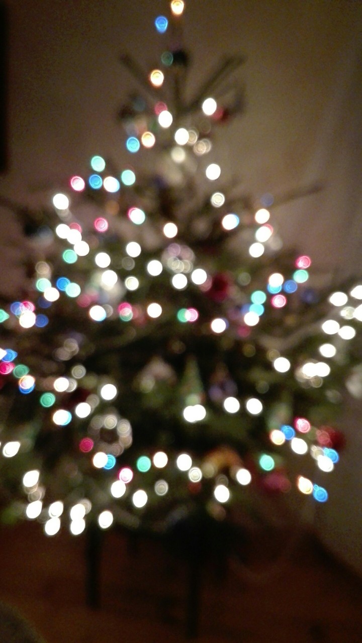 Christmas Tree