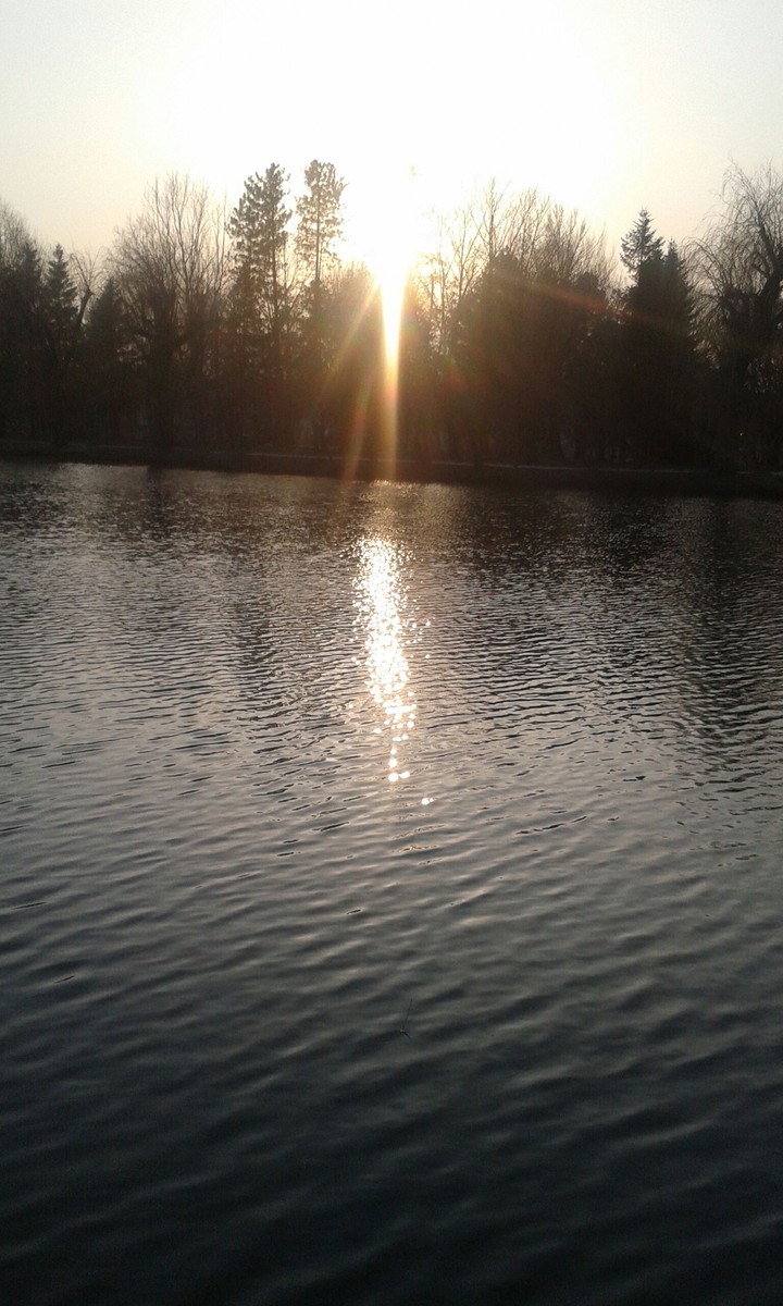 Sun