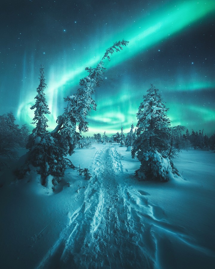 aurora