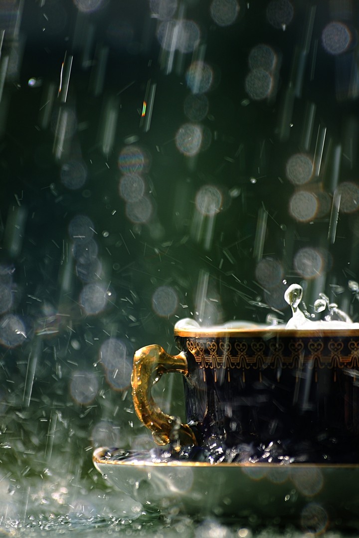 빗속의 찻잔