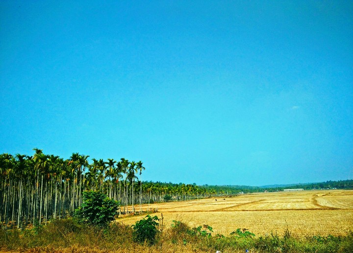 BlueSky