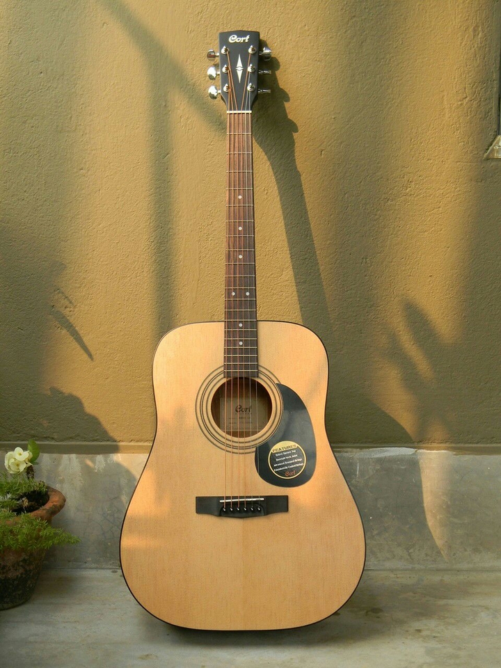 nice gitar..