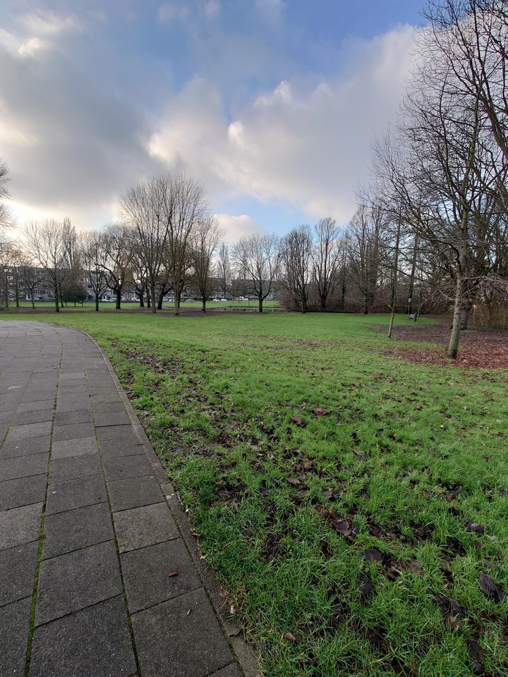 Park