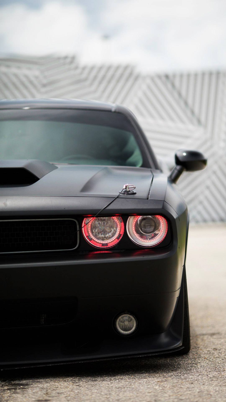 mustang
