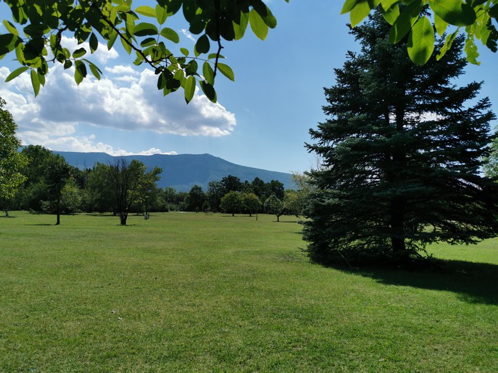 Park