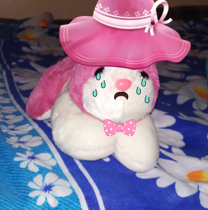 rabit