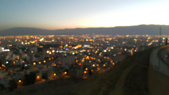 Shiraz University