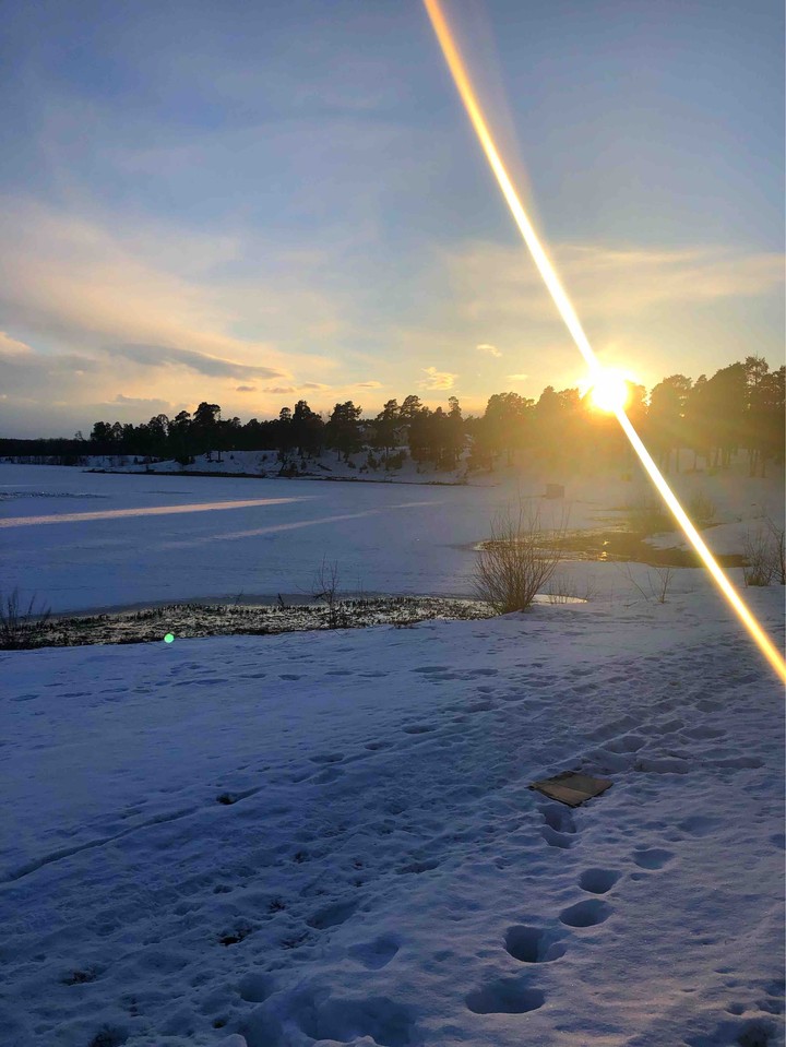 the sun