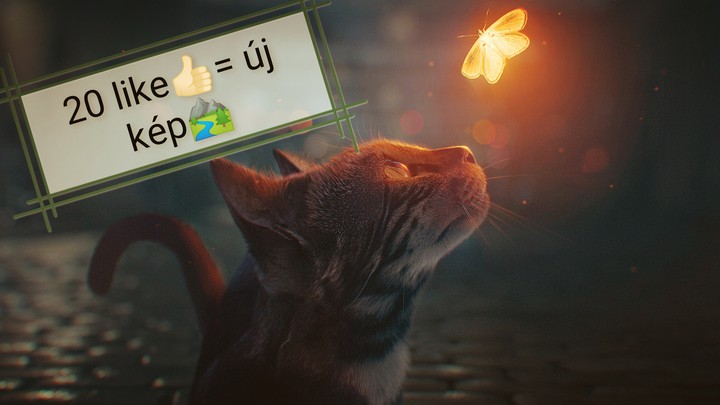 20 like = új kép