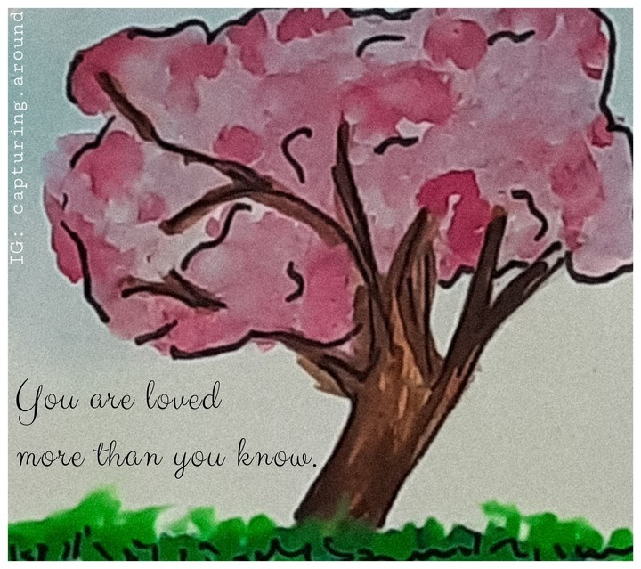 Cherry Blossom