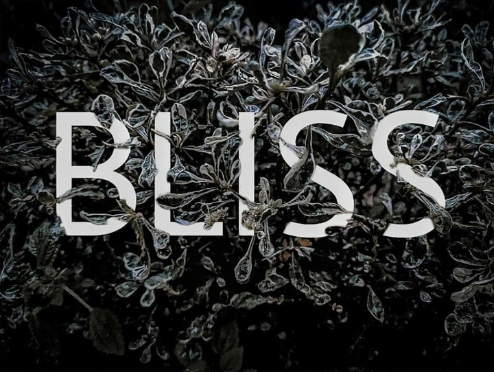 Bliss