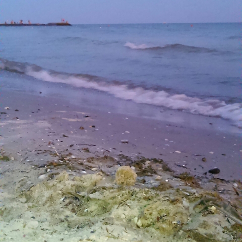 beach