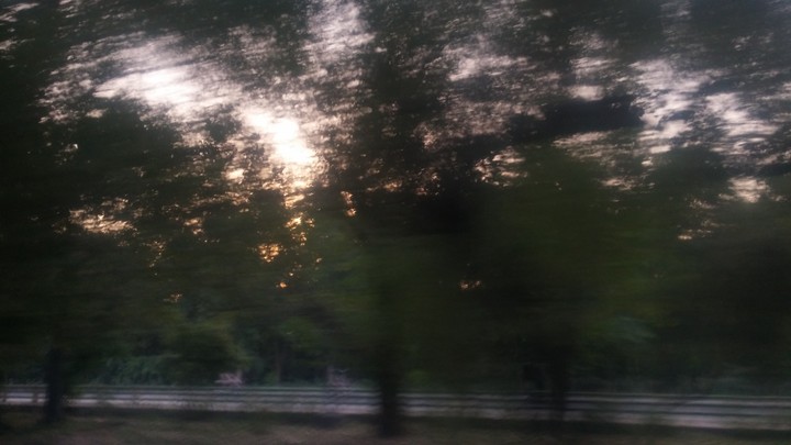 Canalside sunrise