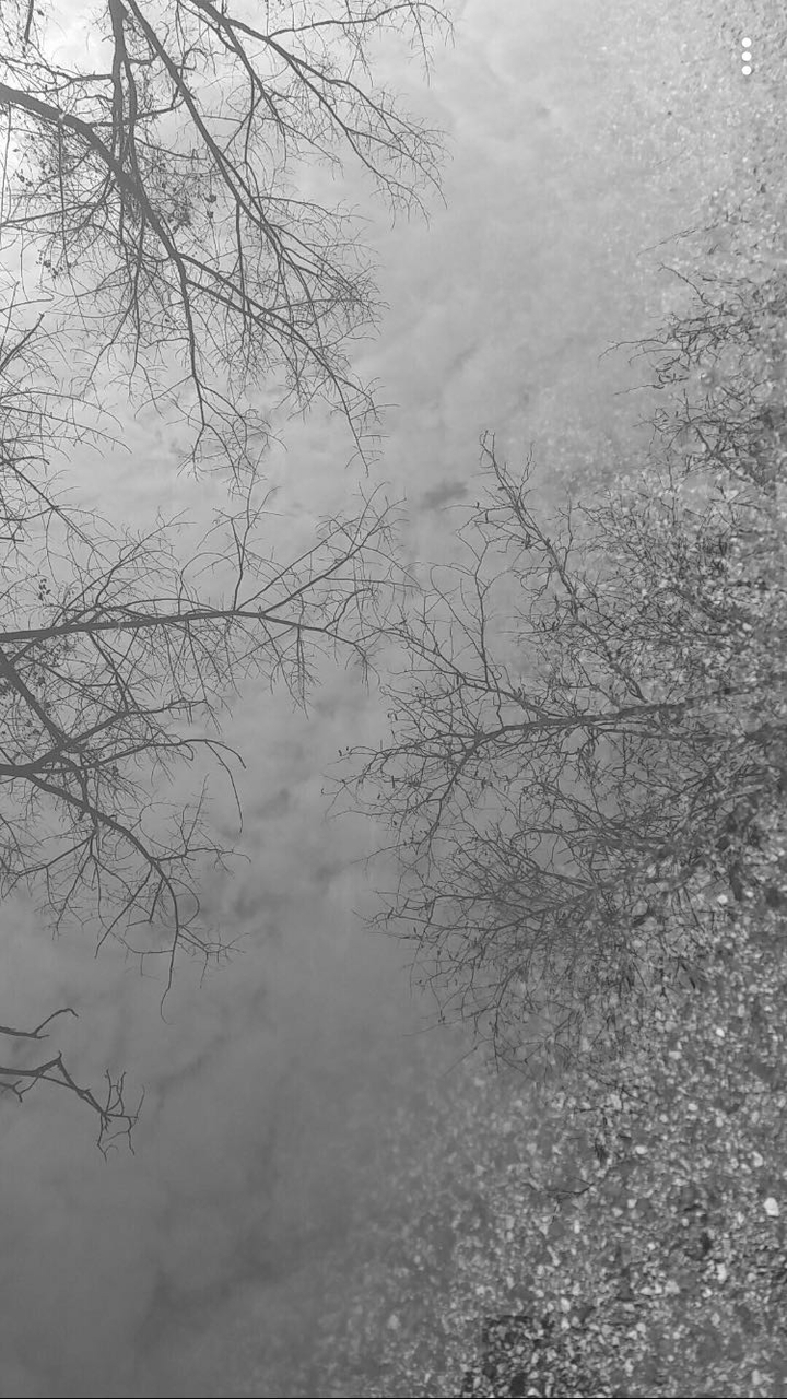 Reflection...