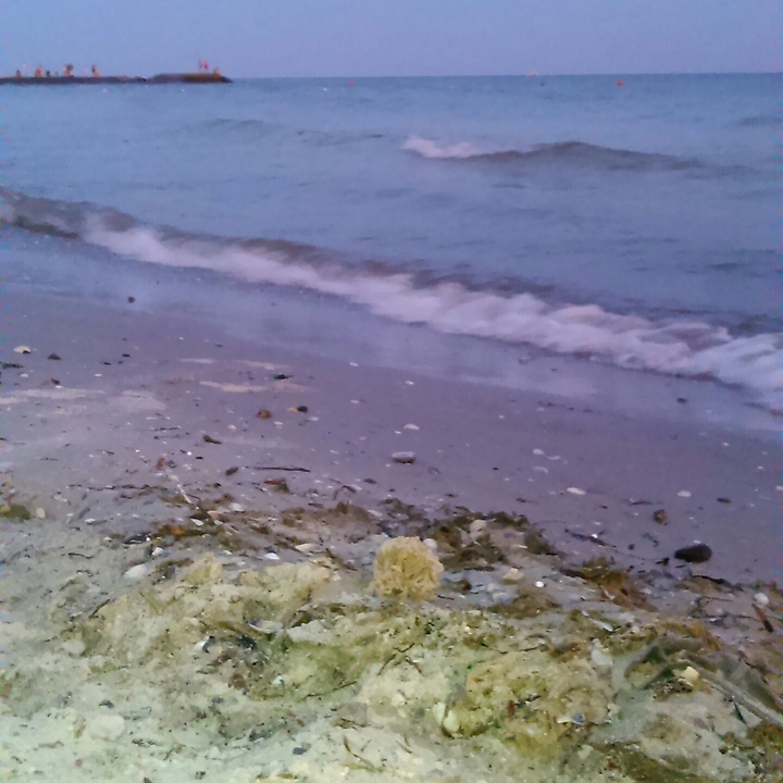 beach