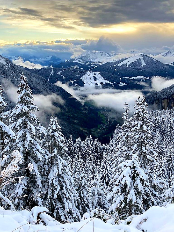 Winter landscape