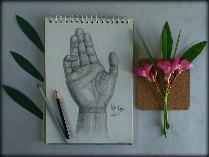 pencil drawing