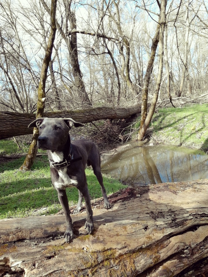 Edgar <3