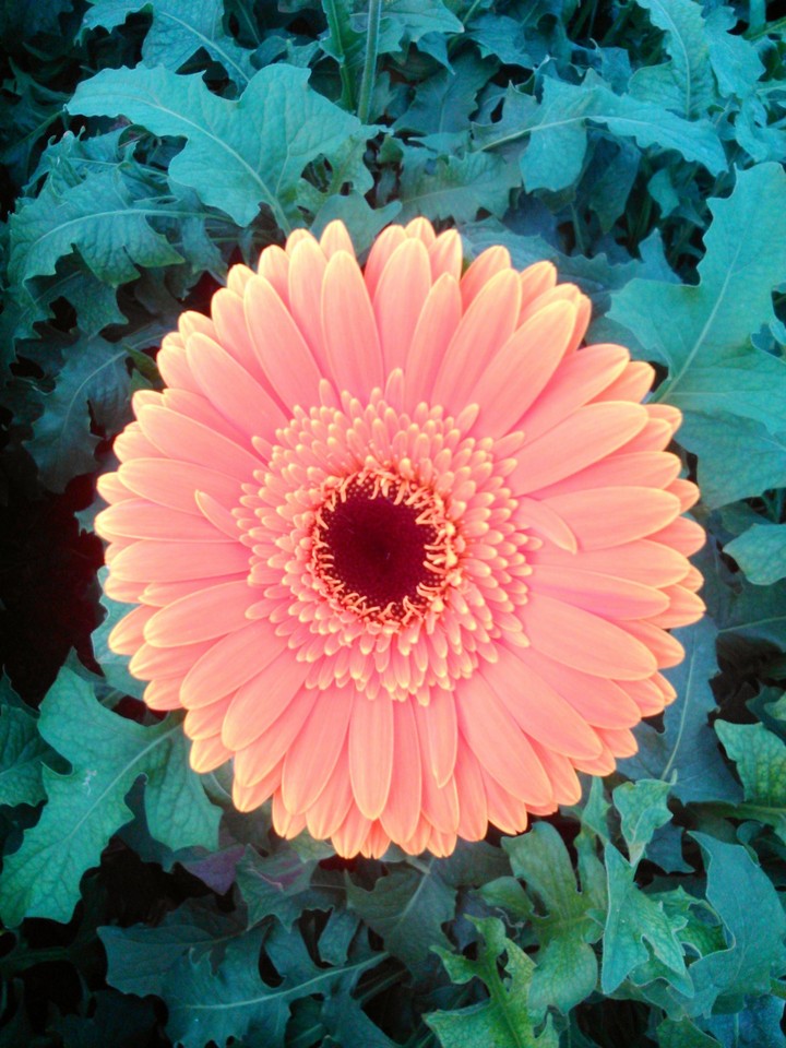 Bright and warm
