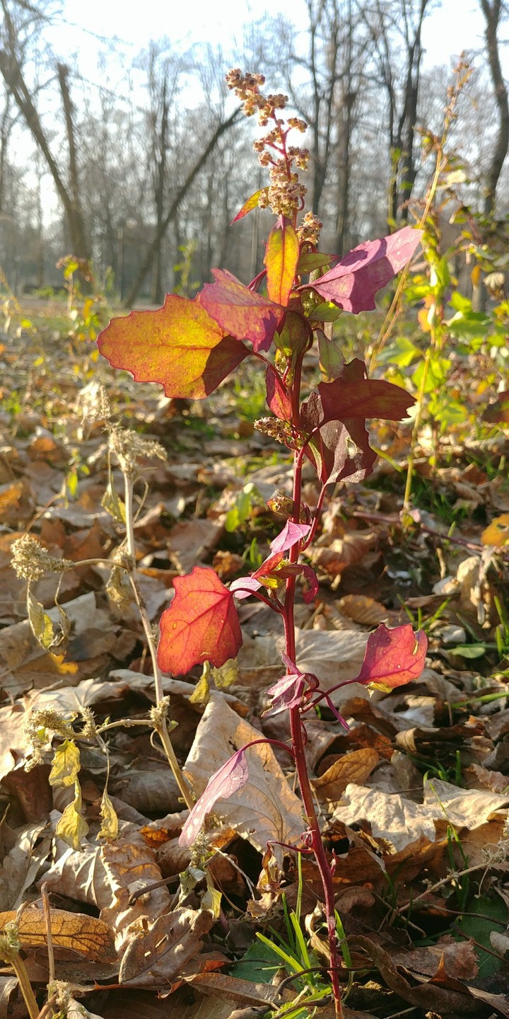 Nature!