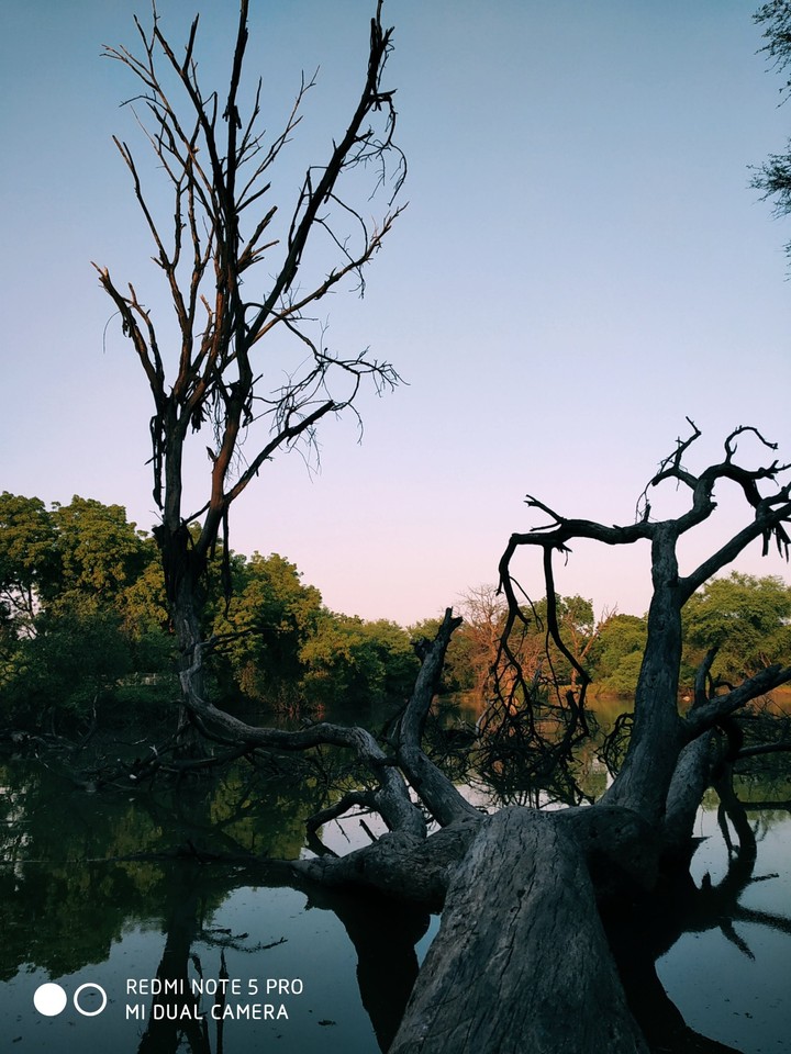 beauty of nature