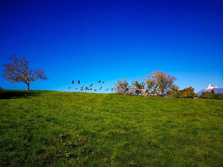 farm
