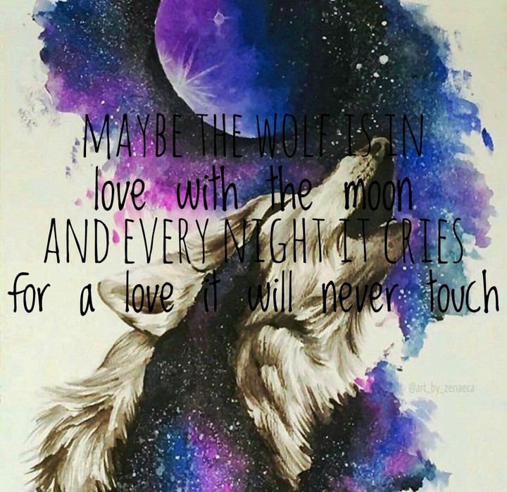 Wolf