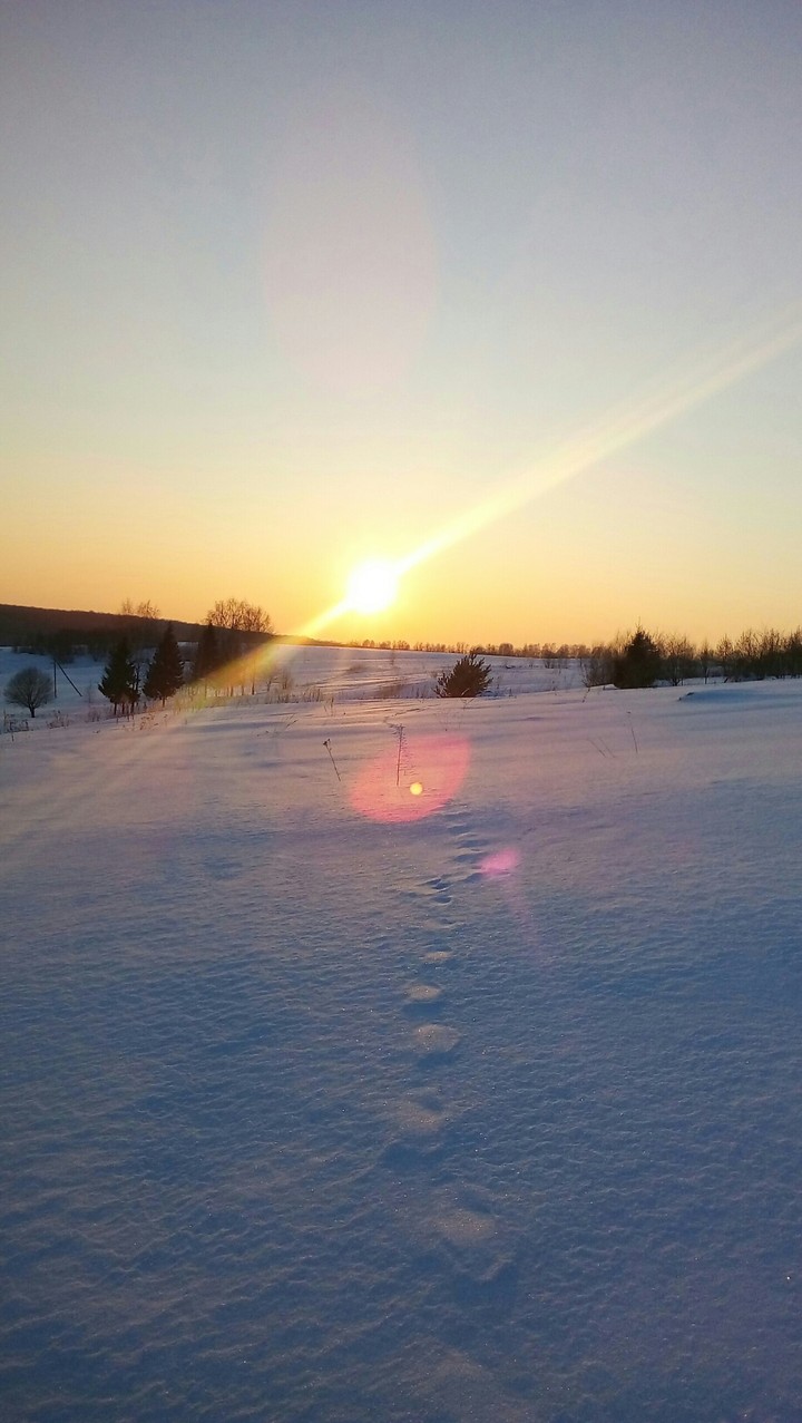 Winter landscape❄