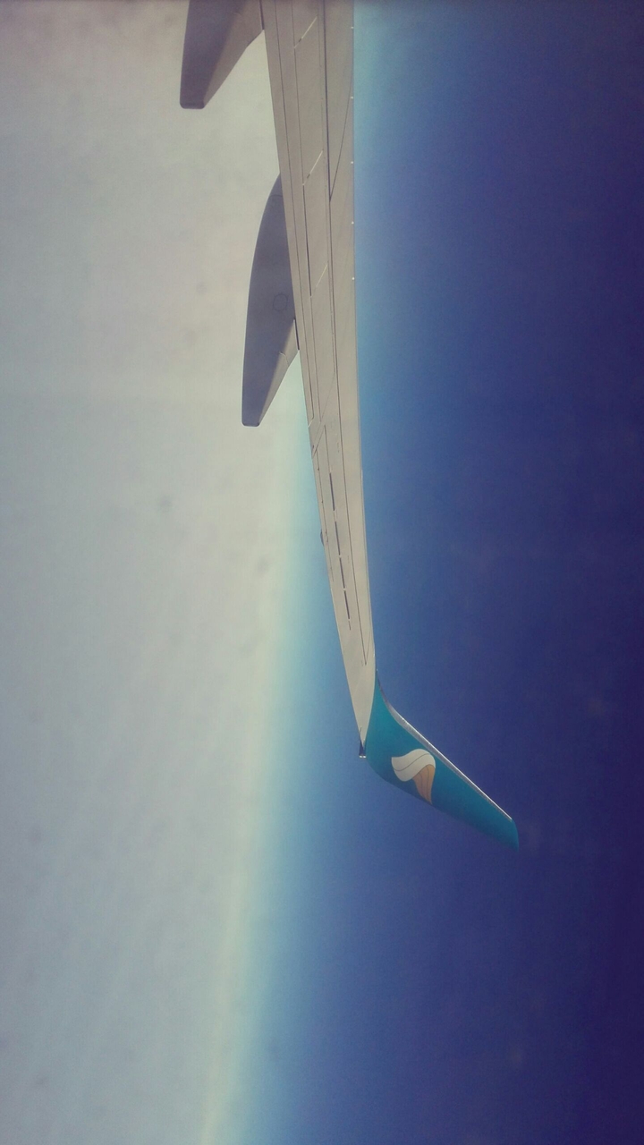flight