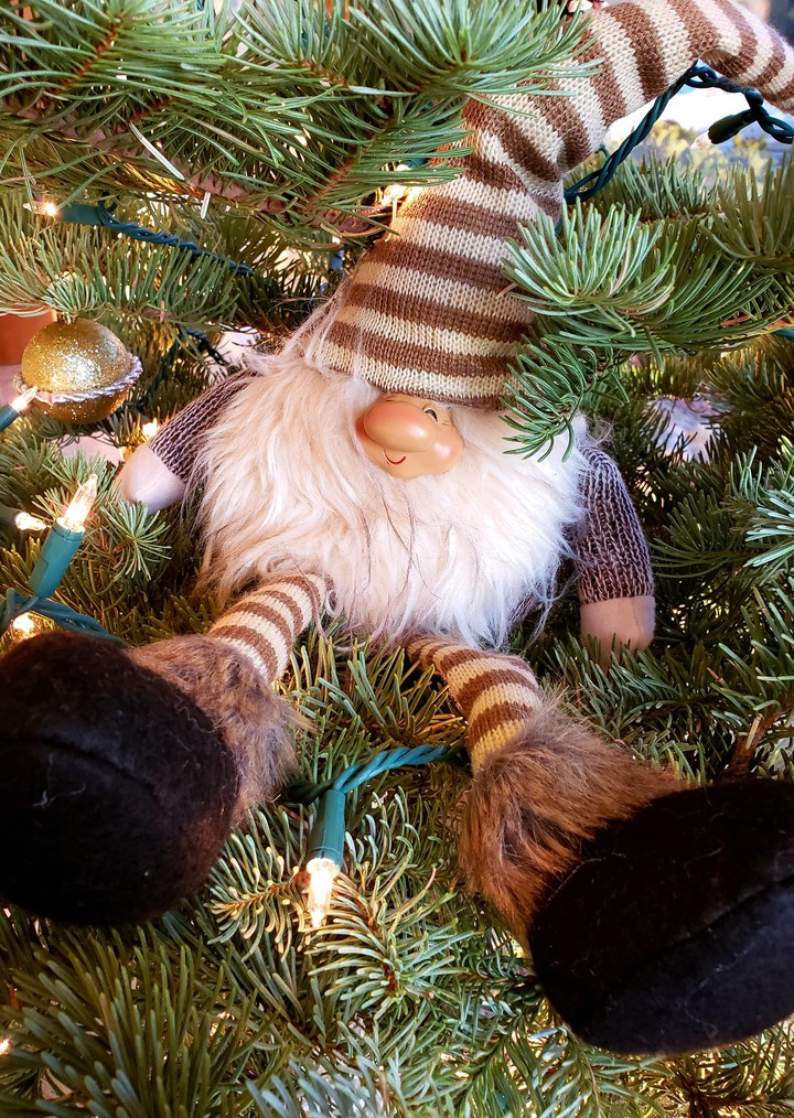 Gnome