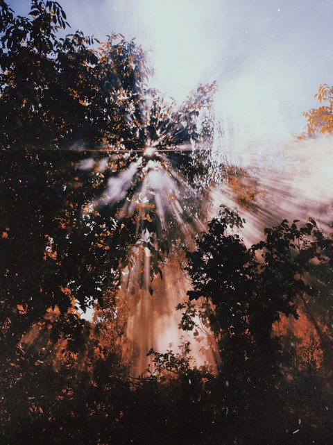 sunlight and smoke
