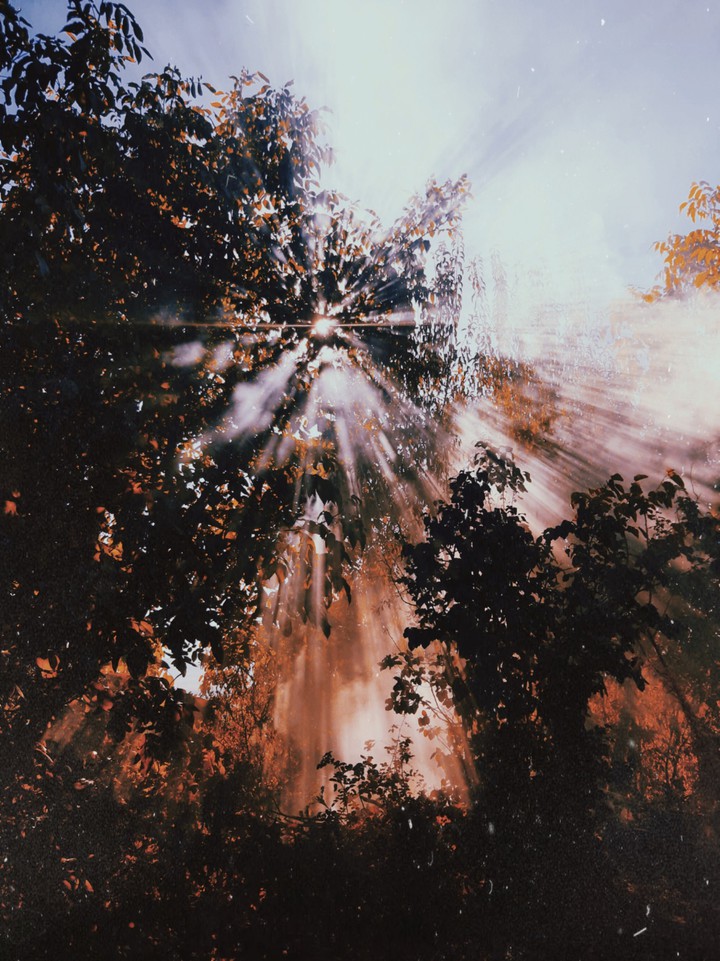 sunlight and smoke