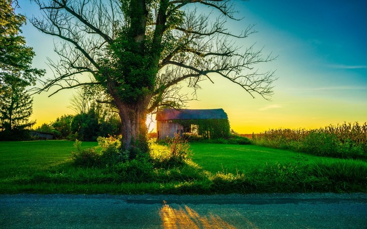natural sunshine