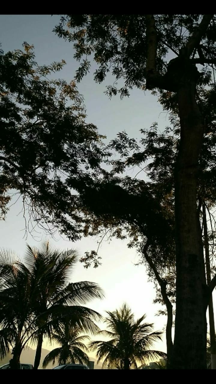 Só precisamos Olhar um Pouco pra Ela