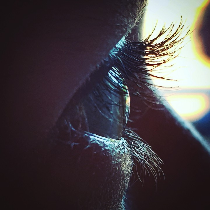 eye