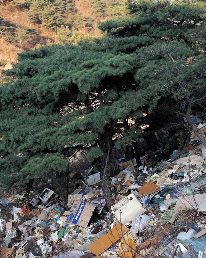 동양