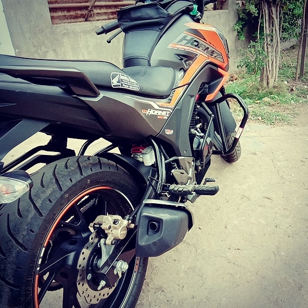 hornet