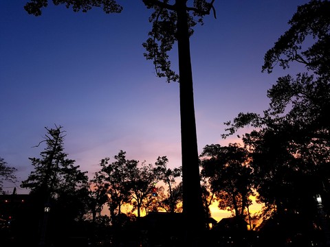 5:30 PM