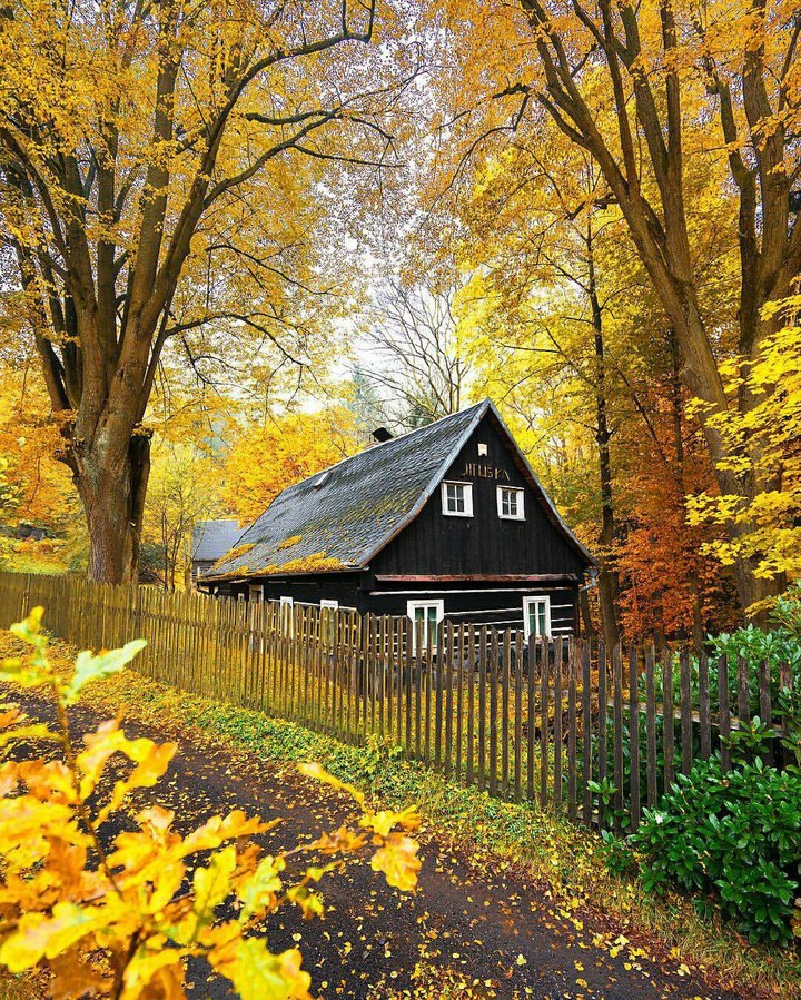 house in fall