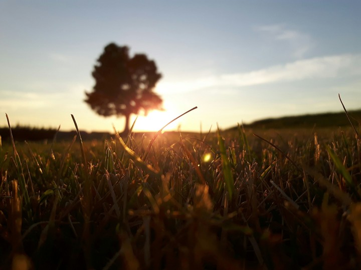 golf course sunset