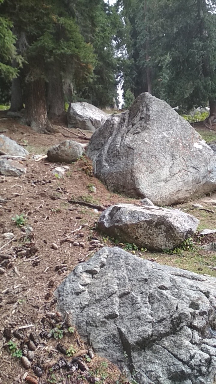 Boulder party D