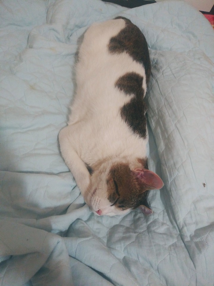 ㅇ