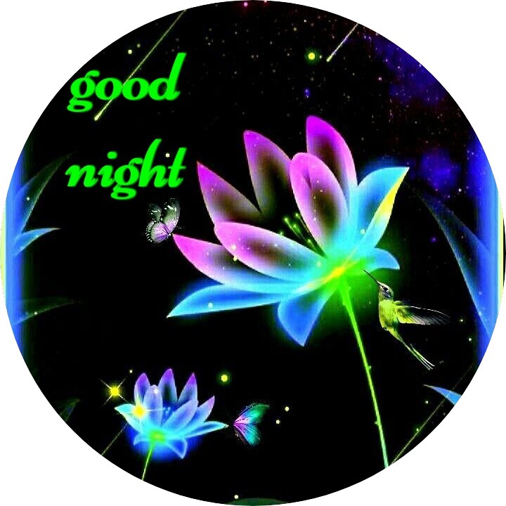 Good Night