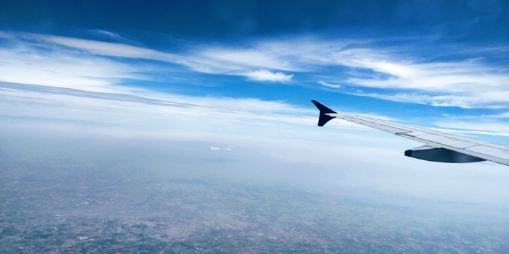 The bird's eye view