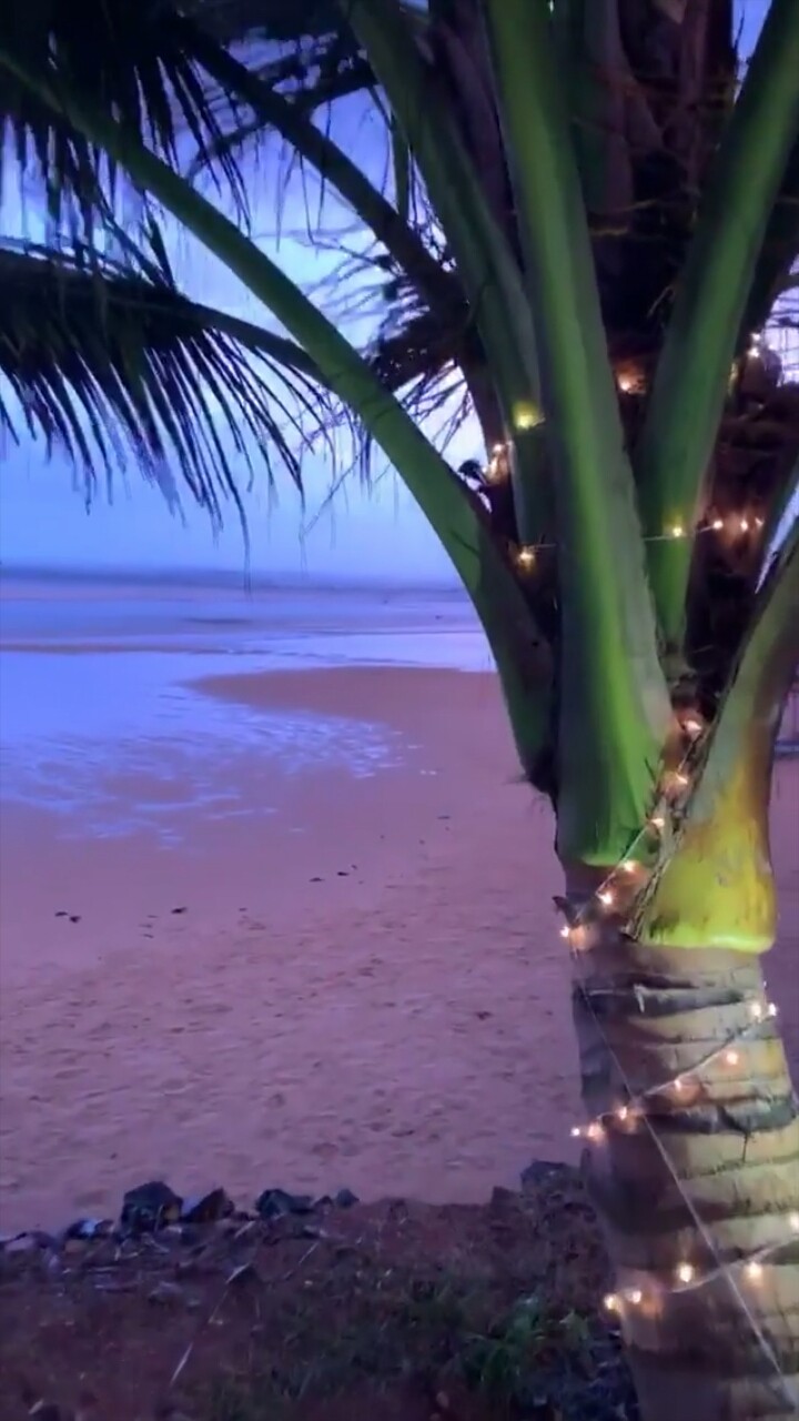 wonderful evening